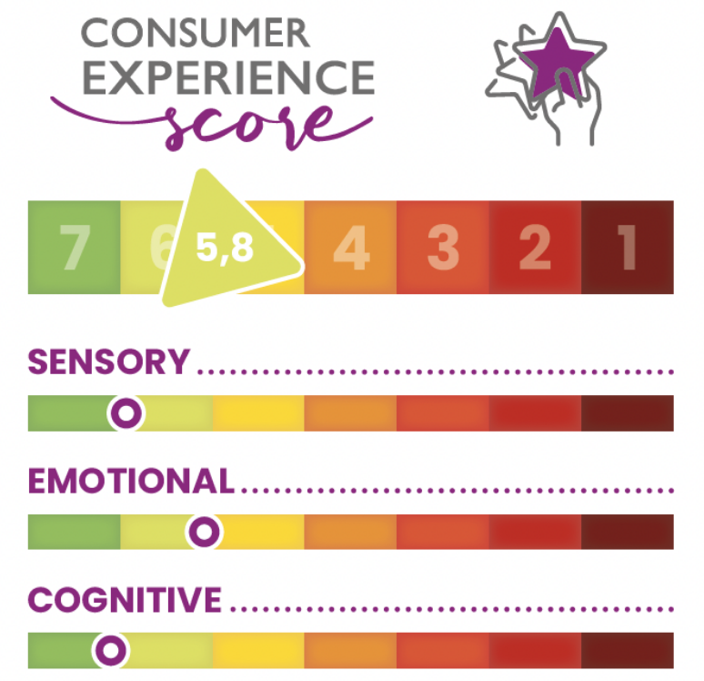 Consumer Experience Score